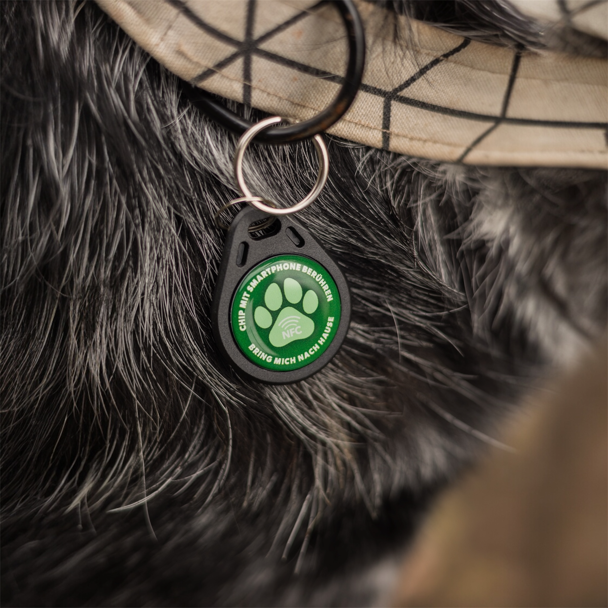 NFC-Hundemarke Pro 2