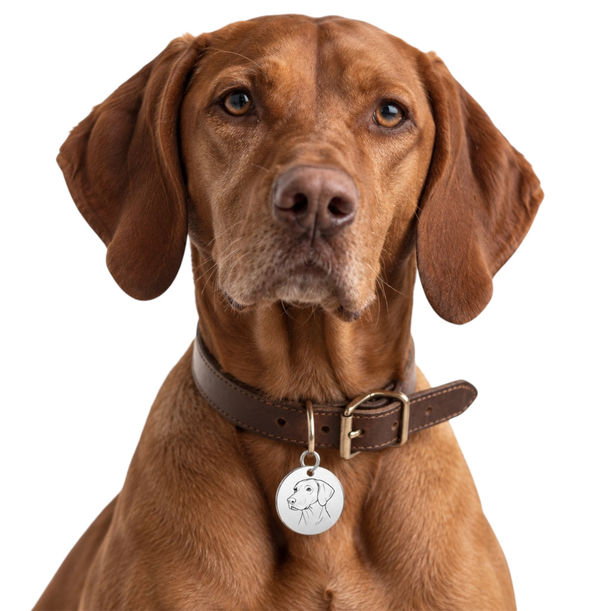Edelstahl-Hundemarke – mit Motiv - personalisiert für deinen Hund & Schlüsselbund