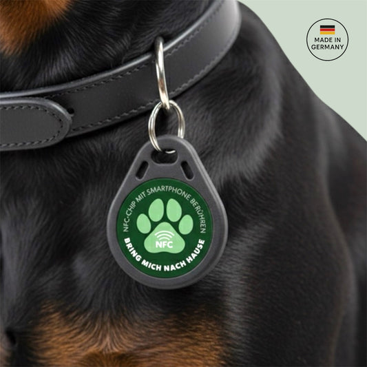 NFC-Hundemarke Pro 2 SALE