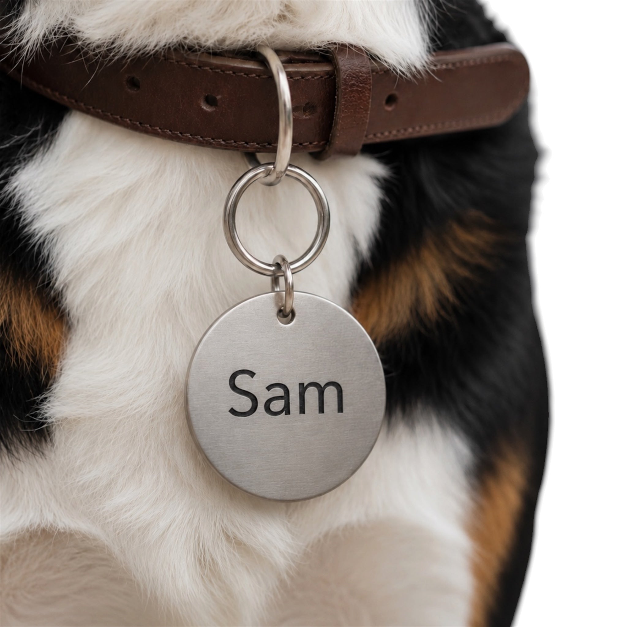 Edelstahl Hundemarke Rund XL personalisiert