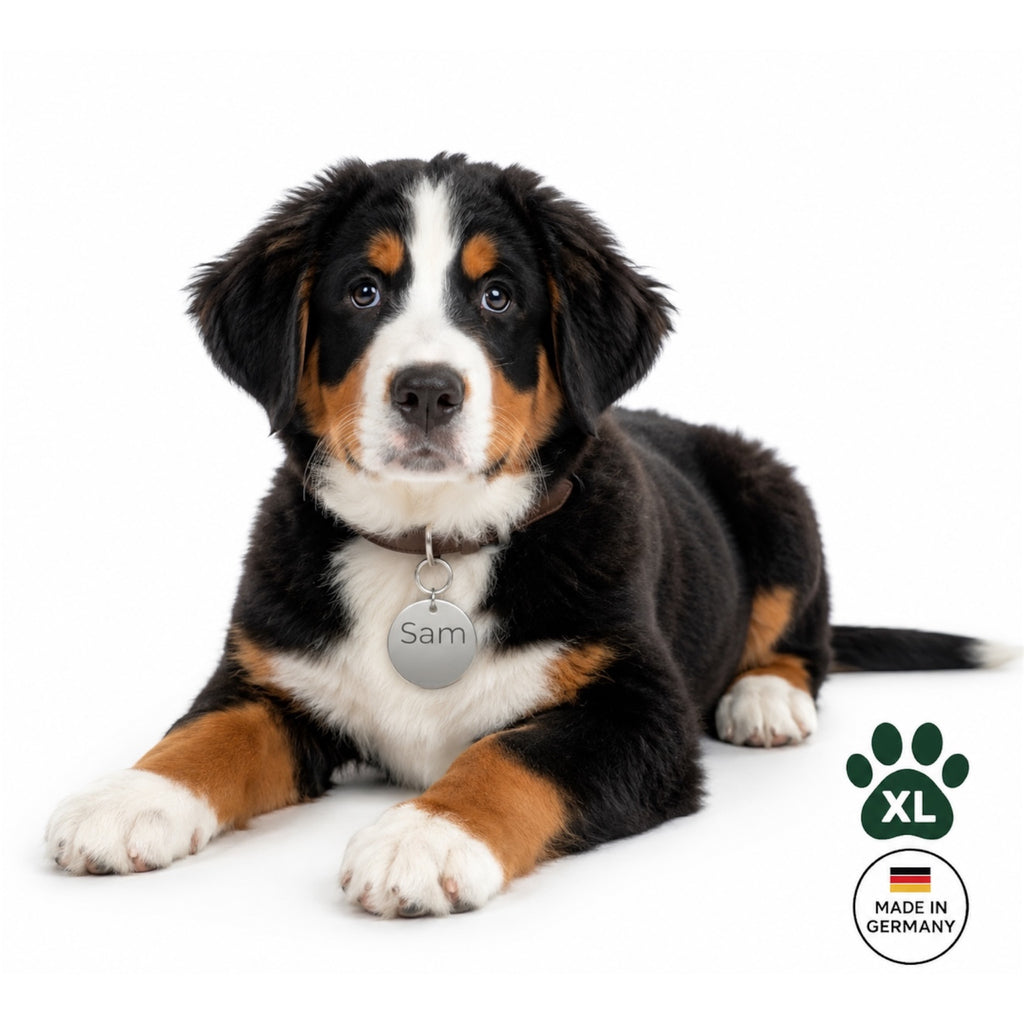 Edelstahl Hundemarke Rund XL personalisiert