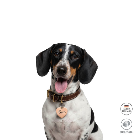 Personalisierte Hundemarke Edelstahl Herz Form