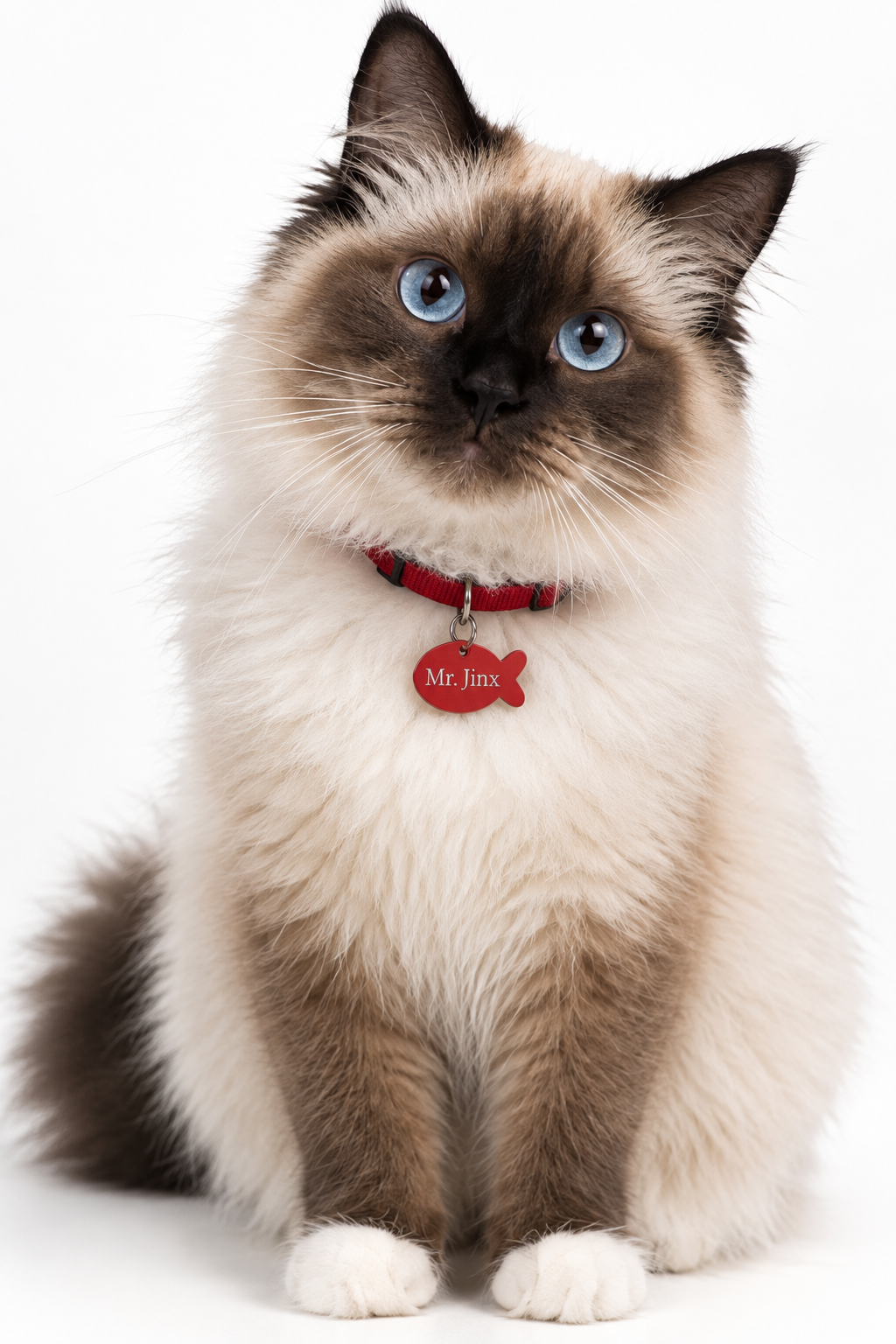 cat tag fish shape