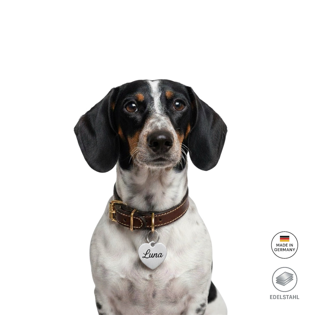Herzförmige Edelstahl Hundemarke Mist kostenloser Gravur in 3 Farben verfügbar. Nur 1-3 Tage Lieferzeit.