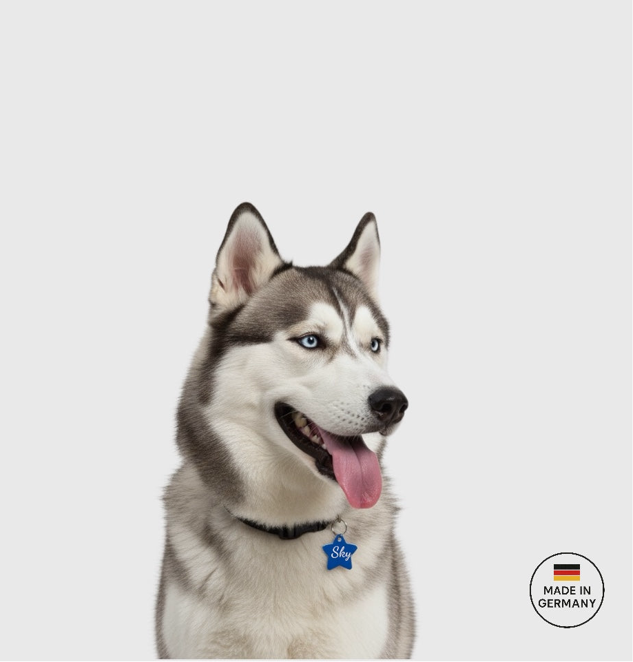 Hundemarke Sternform Aluminium 10 Farben