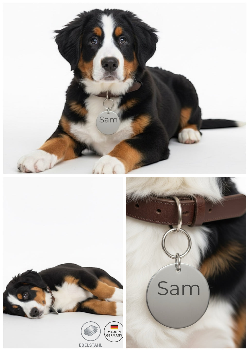 Große XL Edelstahl Hundemarke Rund mit kostenloser Gravur in Silber verfügbar. Nur 1-3 Tage Lieferzeit.