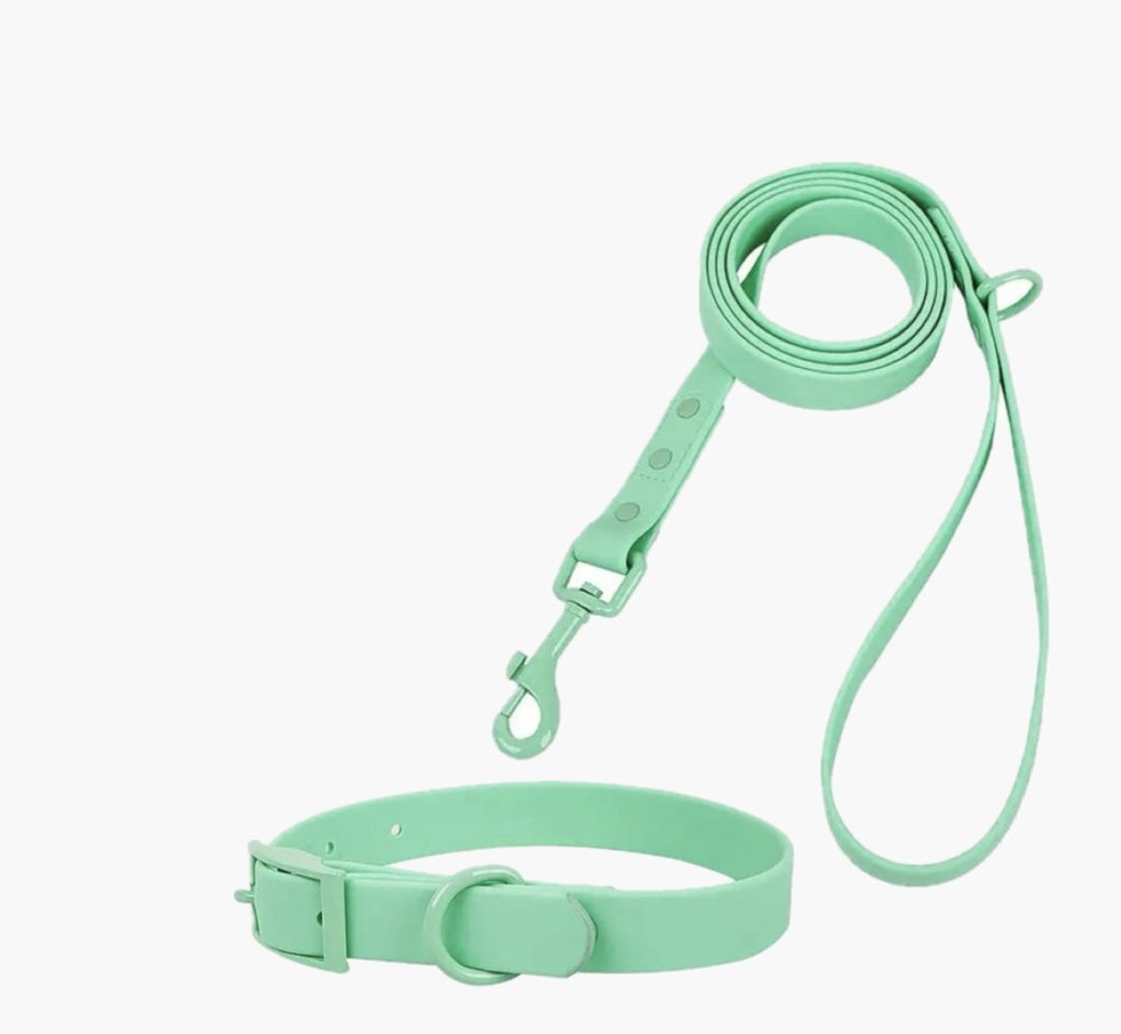 Pastell Halsbänder und Leinen mit Wunschgravur